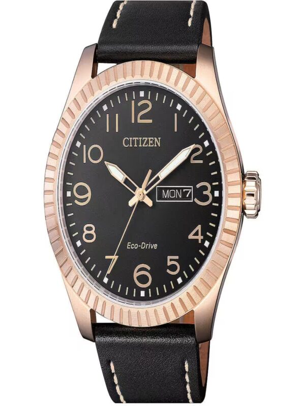 Orologio Uomo Citizen BM8533-13E