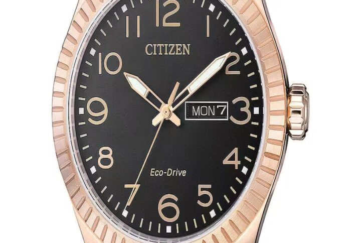 Orologio Uomo Citizen BM8533-13E