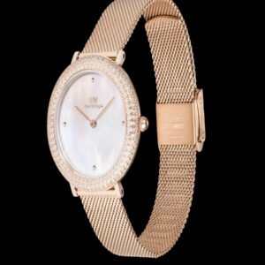 Orologio Daniel Wellington DW00100823