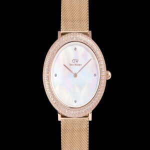 Orologio Daniel Wellington DW00100823